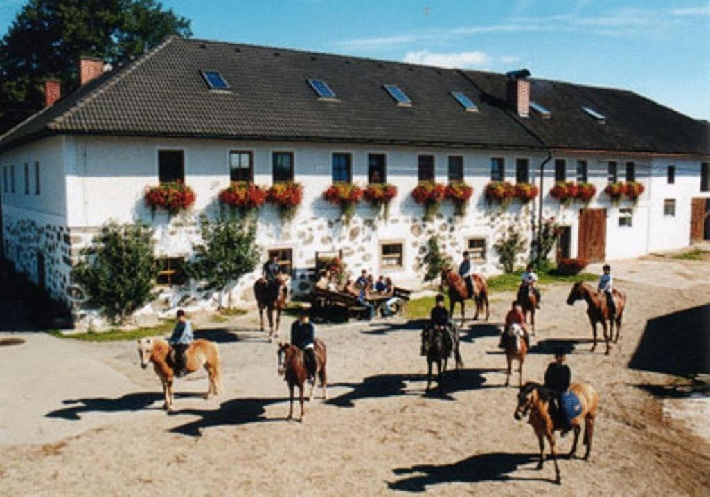 Reiterhof Stoeglehner Rainbach im Mühlkreis Exterior foto